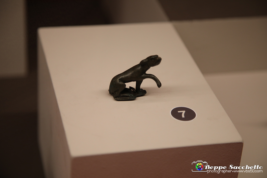 VBS_8827 - Mostra Invito a Pompei.jpg